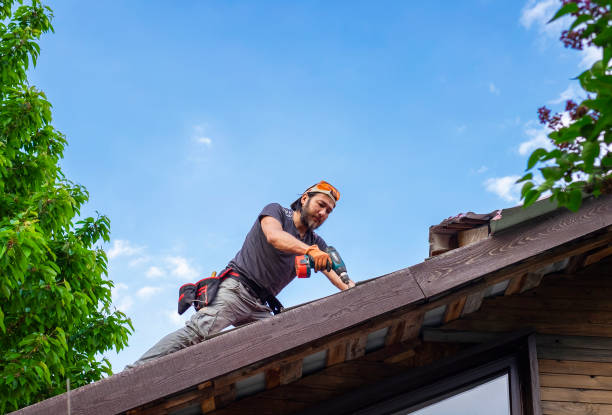 Best Roof Moss and Algae Removal  in Six Mile, SC